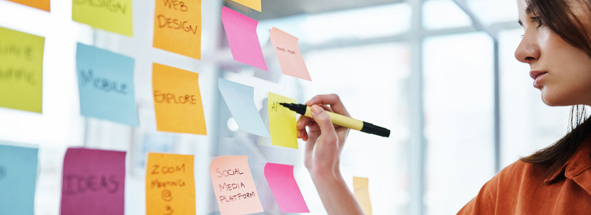 Web Designers and Developers